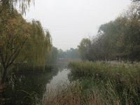 photo417