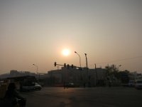 photo459