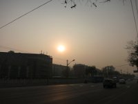 photo462