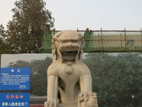 photo463