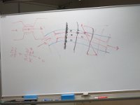 IMG 0823