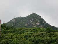 IMG 0461