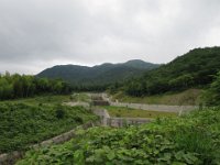 IMG 0471