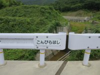 IMG 0478