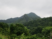 IMG 0480