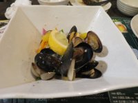 IMG 4661