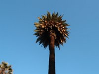 IMG 4216