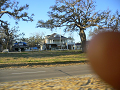 p1010609_thumb.png