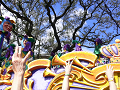 p1010867_thumb.png