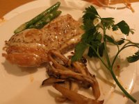 IMG 4981