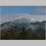 pict009.jpg
