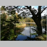 pict017.jpg