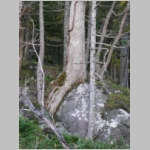 pict020.jpg