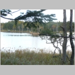 pict026.jpg