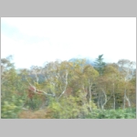 pict028.jpg
