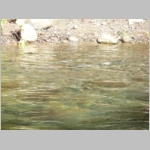 pict038.jpg