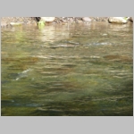 pict039.jpg