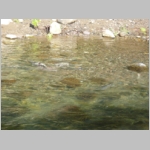 pict040.jpg