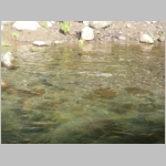 pict041.jpg