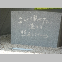 pict008.jpg