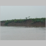 image202.jpg