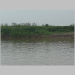 image203.jpg