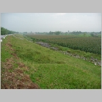 image222.jpg
