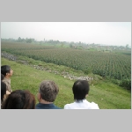 image223.jpg