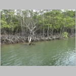 img0047.jpg