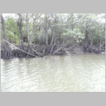 img0050.jpg