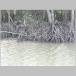 img0051.jpg