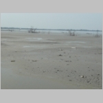img0177.jpg