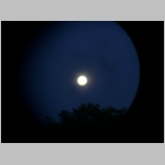 img0216.jpg