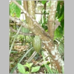 img0227.jpg
