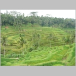 img0236.jpg