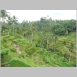 img0237.jpg