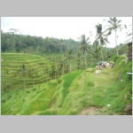 img0238.jpg