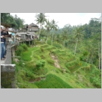 img0239.jpg
