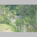 img0242.jpg