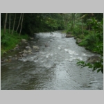 img0247.jpg