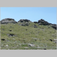 img595.jpg