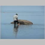 img022.jpg