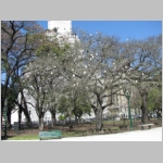 pict017.jpg