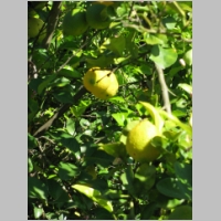 pict026.jpg