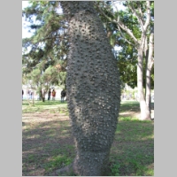 pict030.jpg