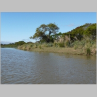 pict080.jpg