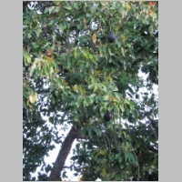 pict109.jpg