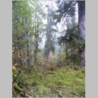 pict350.jpg