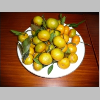 pict078.jpg