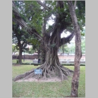 pict145.jpg